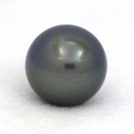 Superbe perle de Tahiti Ronde B 14.3 mm