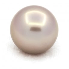Superbe perle de Tahiti Ronde B 14.2 mm