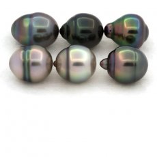 Lot de 6 Perles de Tahiti Cerclées B de 9.7 à 9.9 mm