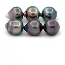 Lot de 6 Perles de Tahiti Cerclées B/C de 10.5 à 10.9 mm