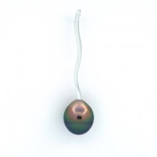 Pendentif en Argent et 1 Perle de Tahiti Cerclée B 9.2 mm
